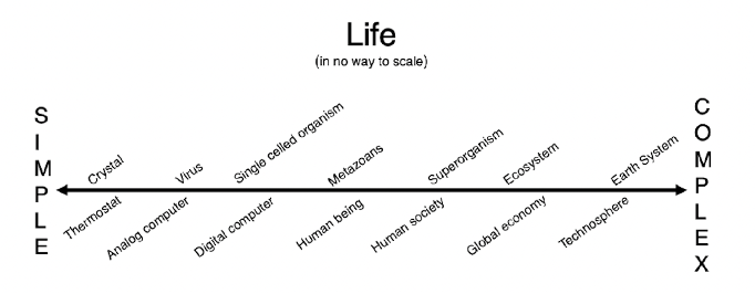 /uploads/image/2025/11/07/2f02bf108230f3eb8604c149cbc658d4.png image.png