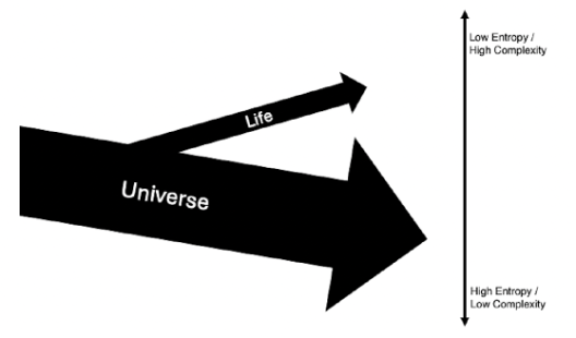 /uploads/image/2025/11/07/7c22e02269df246f27e3b4b638fe0543.png image.png