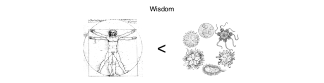 /uploads/image/2025/11/07/aeac57ce08ea9f529f8b39a04814778d.png image.png